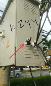 IMG-20210517-WA0007