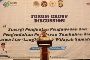 IMG-20231017-WA0163