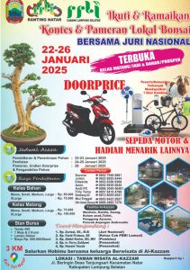 Screenshot_20250104-085236